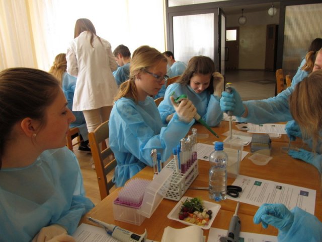 Druga część warsztatów mikrobiologii środowiskowej